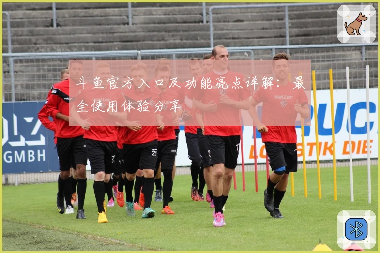 斗鱼官方入口及功能亮点详解：最全使用体验分享