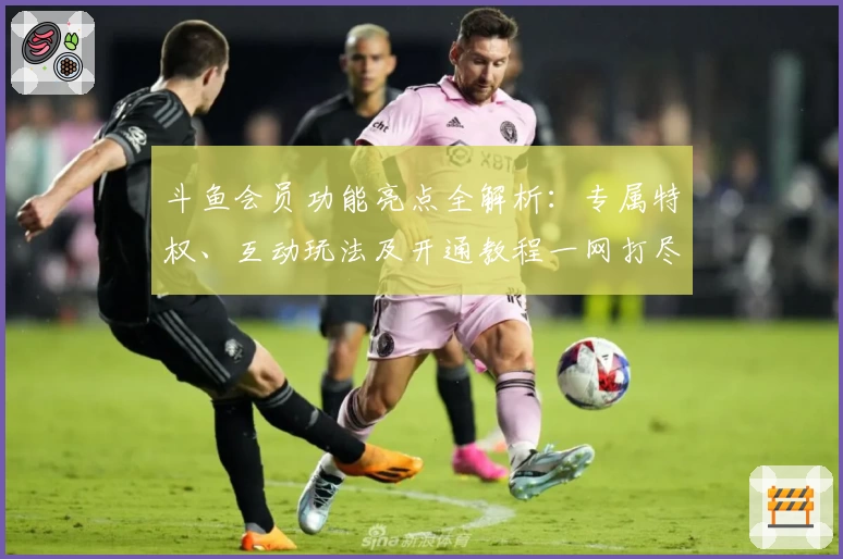 斗鱼会员功能亮点全解析：专属特权、互动玩法及开通教程一网打尽