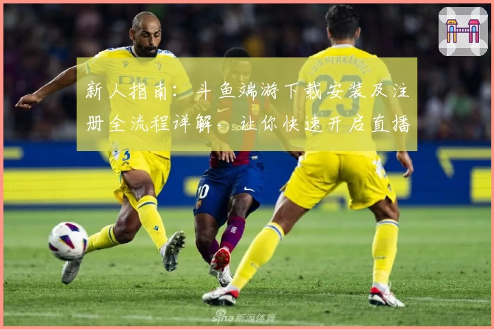 新人指南：斗鱼端游下载安装及注册全流程详解，让你快速开启直播互动体验