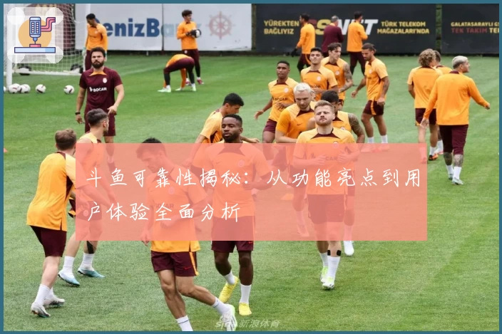 斗鱼可靠性揭秘:从功能亮点到用户体验全面分析
