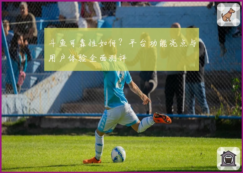 斗鱼可靠性如何？平台功能亮点与用户体验全面测评